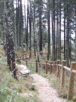 Mirador de la Creu de la Badaina de Setcases